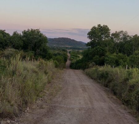 La alquimia de la transformación interna.