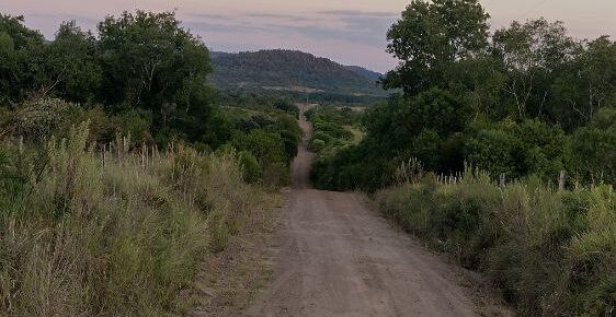 La alquimia de la transformación interna.